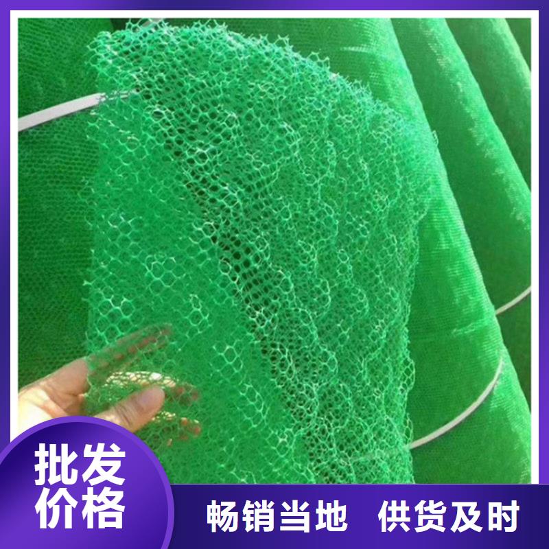 三維植被網(wǎng)防滲膜多種規(guī)格可選