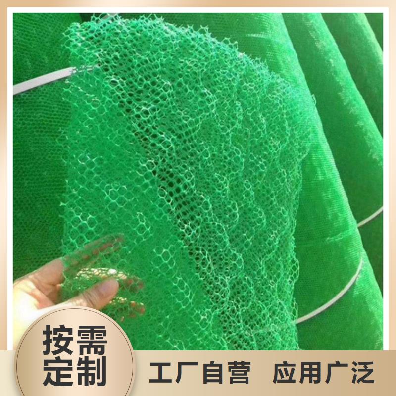 三维植被网,土工格栅质量牢靠