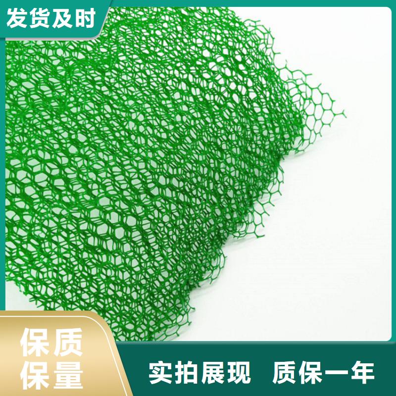 三維植被網(wǎng)-聚酯長(zhǎng)絲土工布種類豐富