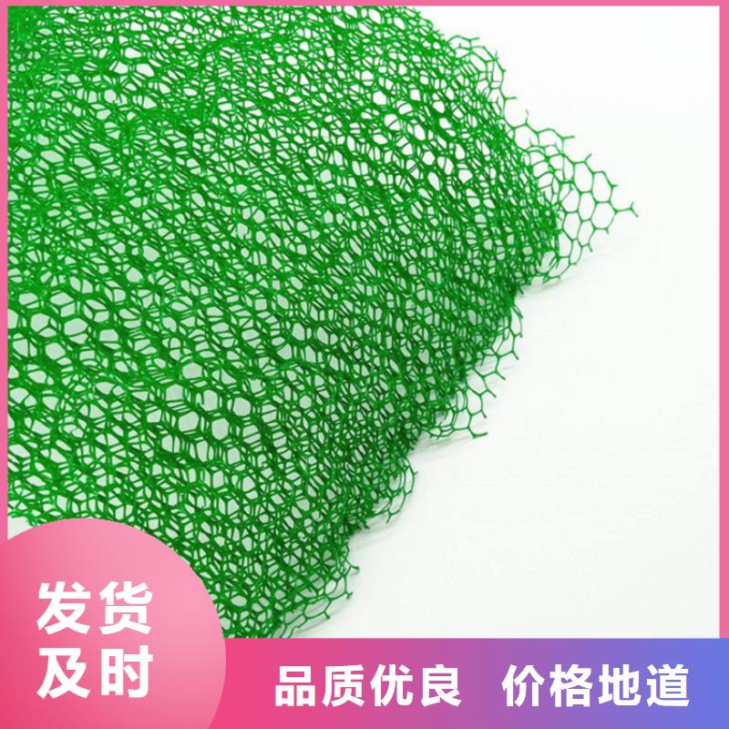 三维植被网防渗膜多种规格可选