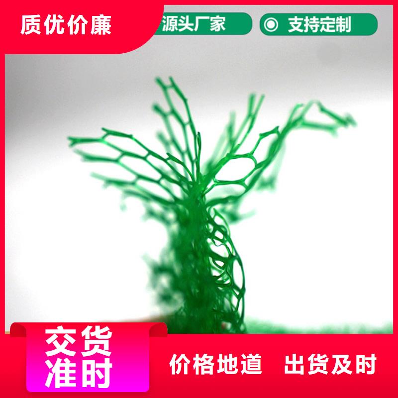 三維植被網(wǎng)-塑料玻纖格柵嚴(yán)選用料