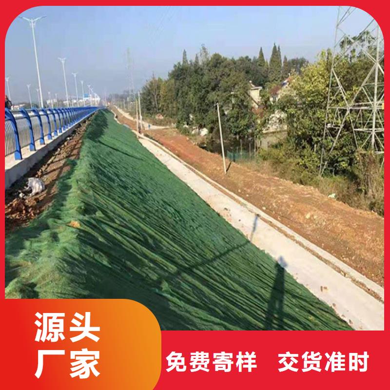 三維植被網土工格柵多種場景適用