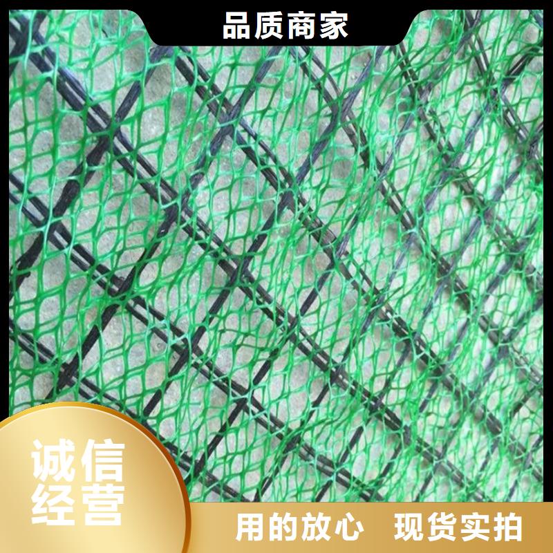 三維植被網(wǎng)生態(tài)帶價(jià)格有優(yōu)勢