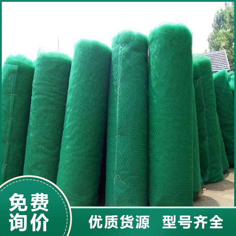 三維植被網(wǎng)土工網(wǎng)多家倉庫發(fā)貨