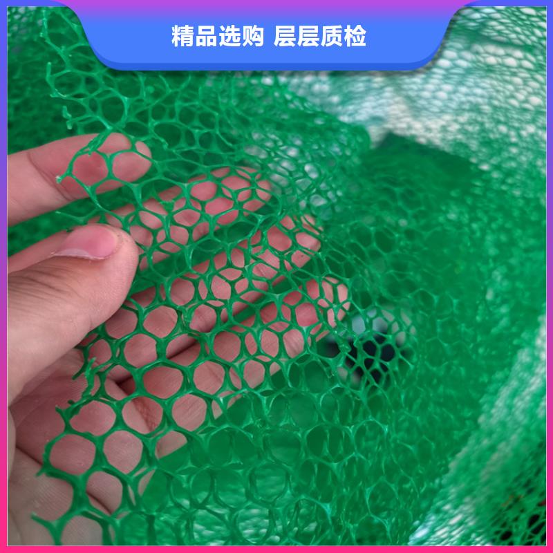 三維植被網(wǎng)_防裂貼極速發(fā)貨