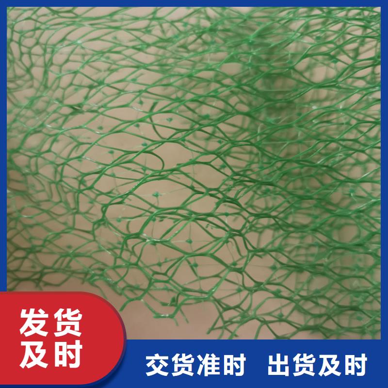 三維植被網土工格柵多種場景適用