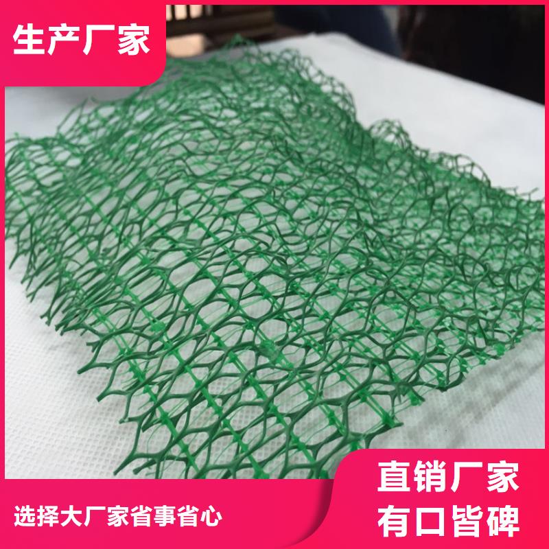 三维植被网,土工格栅质量牢靠