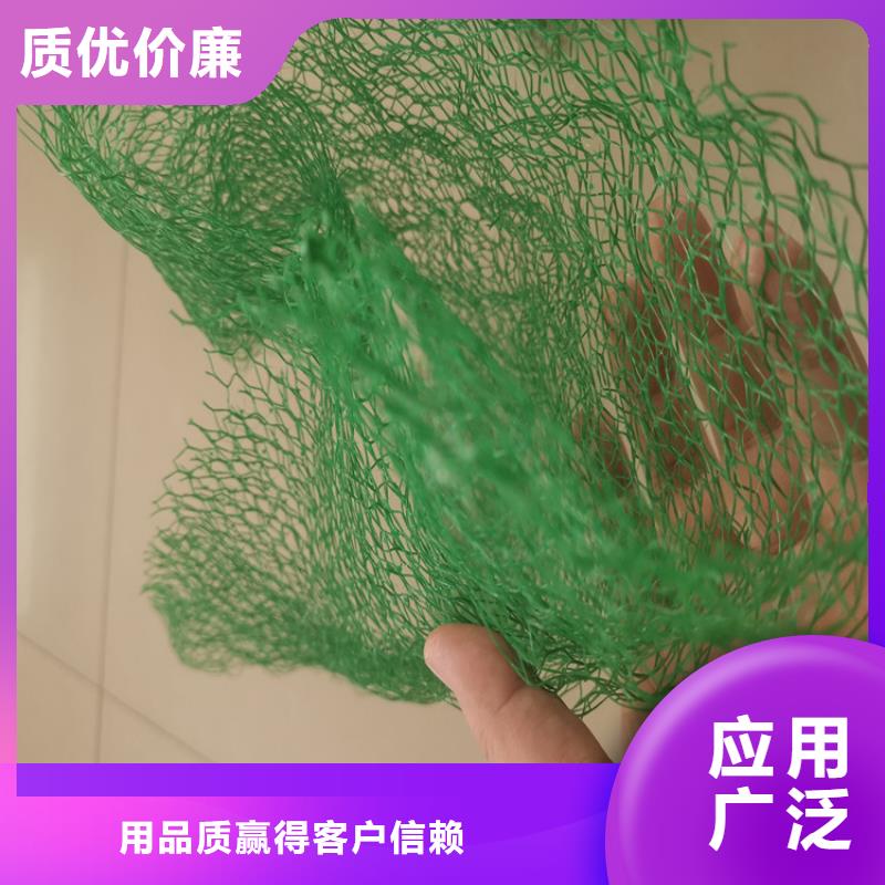 三維植被網土工格柵多種場景適用