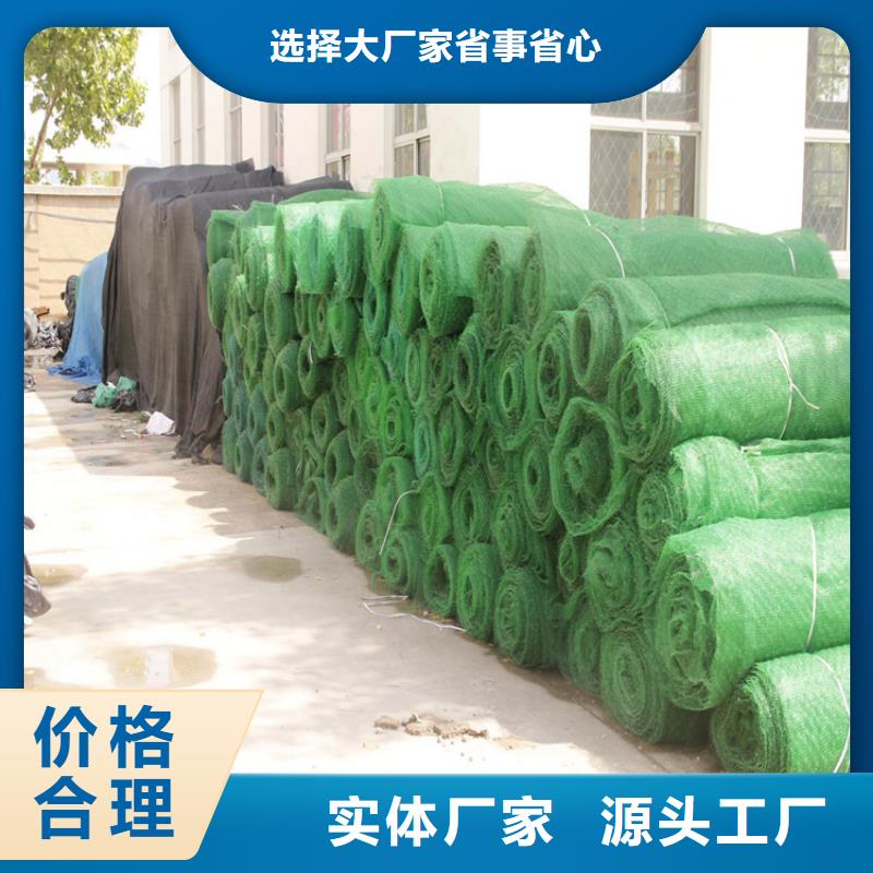 三維植被網(wǎng)_防裂貼極速發(fā)貨