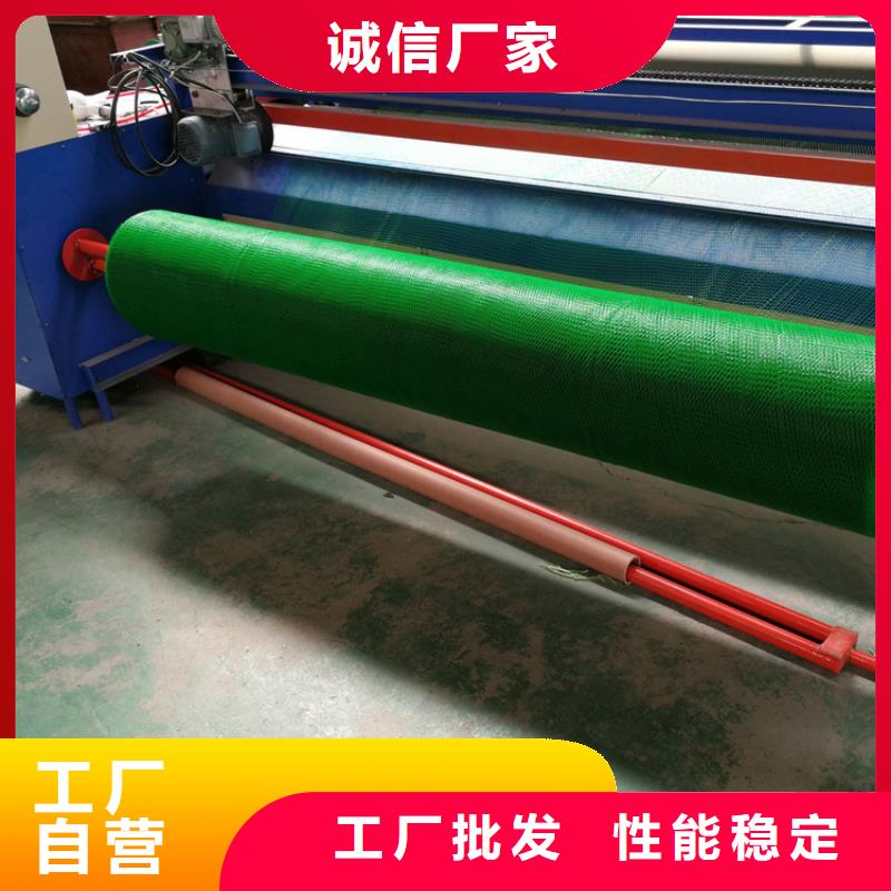 三维植被网,土工格栅质量牢靠
