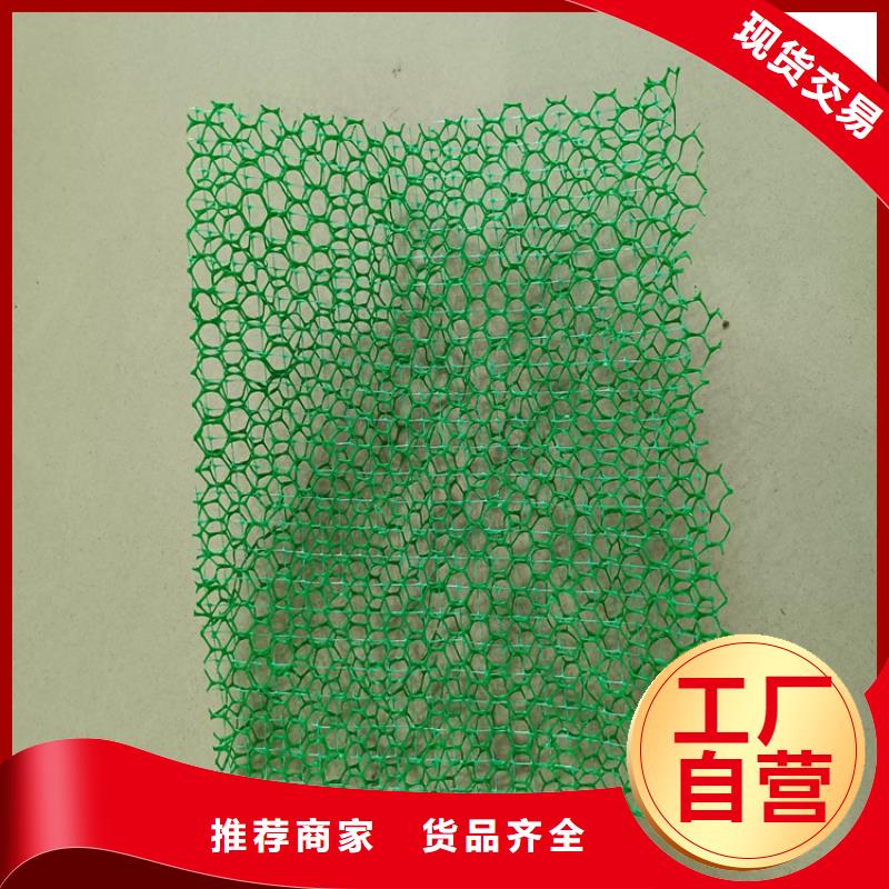 三維植被網(wǎng),土工膜源頭廠商
