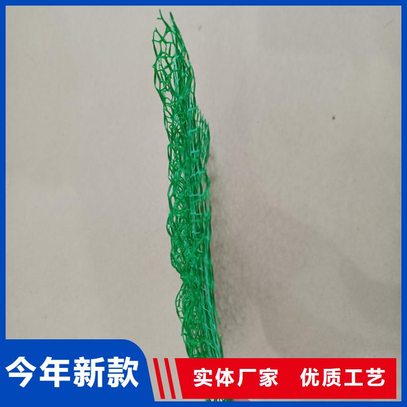 三維植被網(wǎng),土工膜源頭廠商