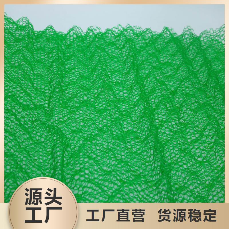 三維植被網(wǎng)-塑料玻纖格柵嚴(yán)選用料