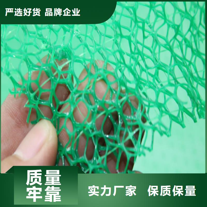 三维植被网,土工格栅质量牢靠