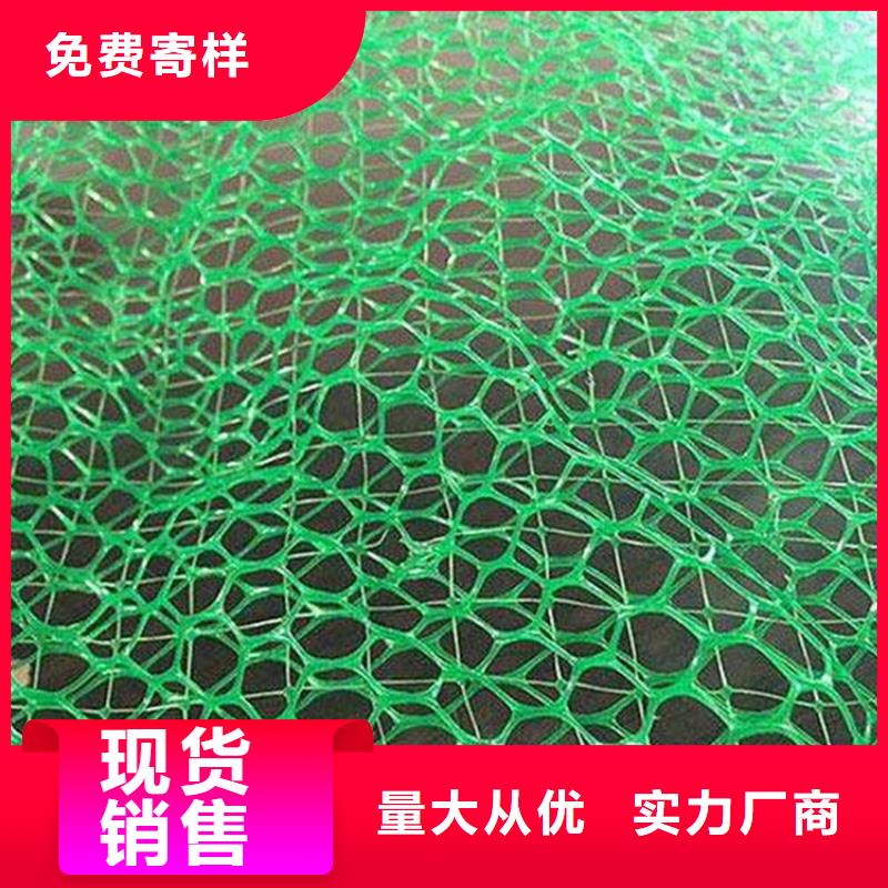 三維植被網(wǎng)防滲膜多種規(guī)格可選
