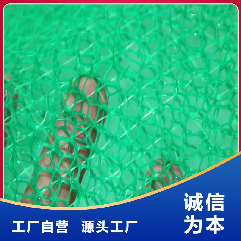 三维植被网,土工格栅质量牢靠