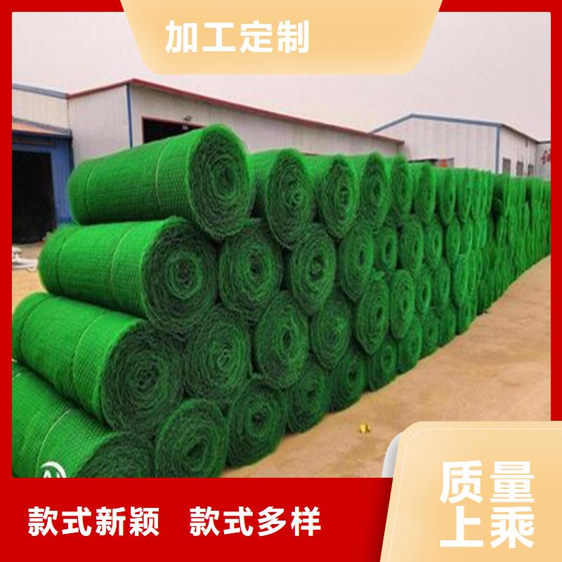 三維植被網(wǎng)防滲膜多種規(guī)格可選