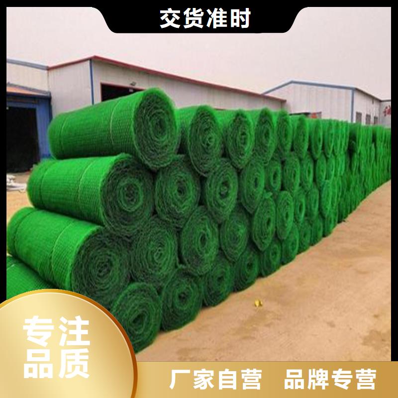 三维植被网,土工格栅质量牢靠