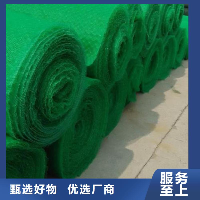 三維植被網(wǎng)-聚酯長(zhǎng)絲土工布種類豐富