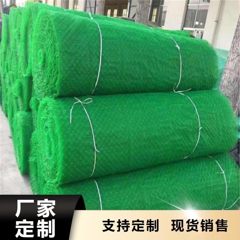 三維植被網土工格柵多種場景適用
