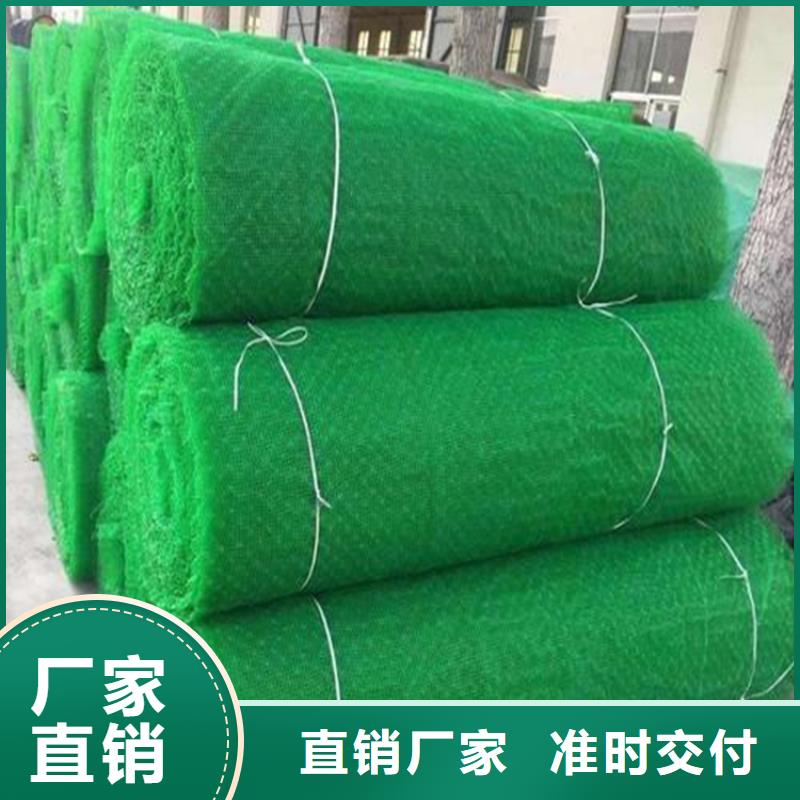 三維植被網(wǎng)土工網(wǎng)多家倉庫發(fā)貨