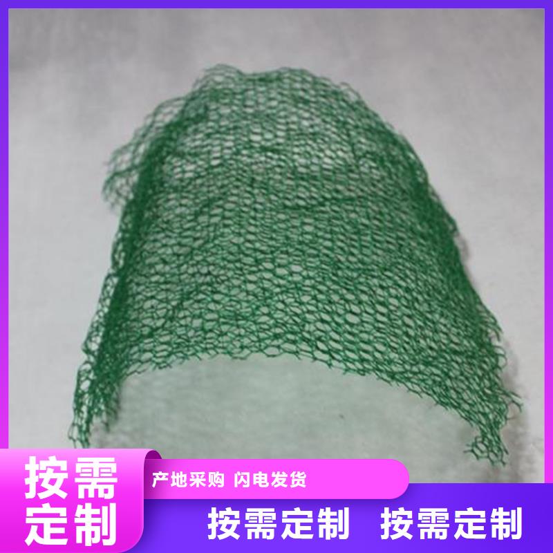 三維植被網(wǎng)土工網(wǎng)多家倉庫發(fā)貨