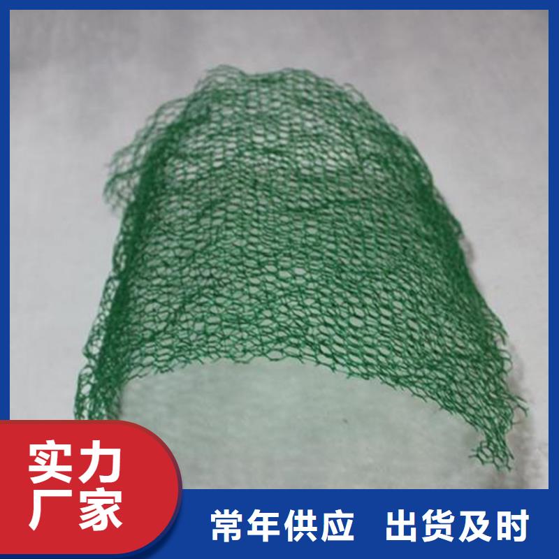三維植被網土工格柵多種場景適用