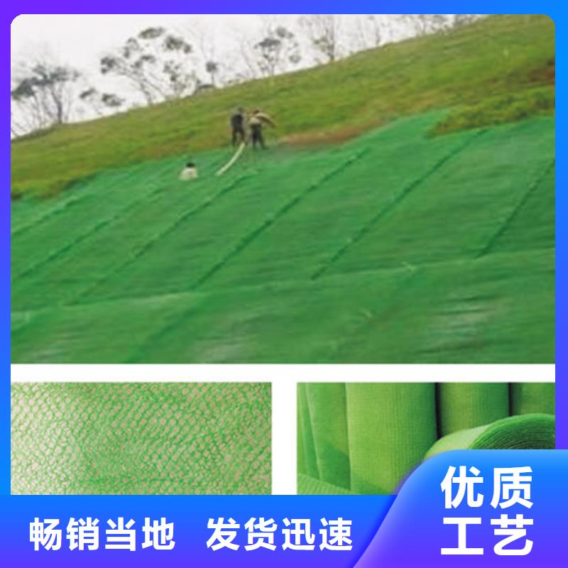三維植被網(wǎng)-聚酯長(zhǎng)絲土工布種類豐富