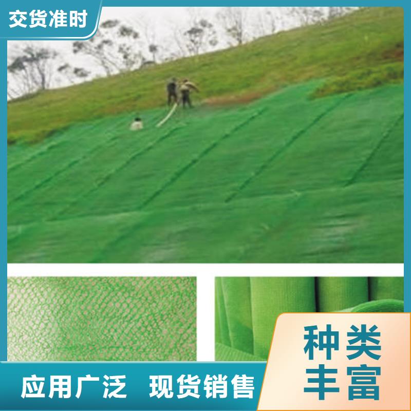 三维植被网,土工格栅质量牢靠