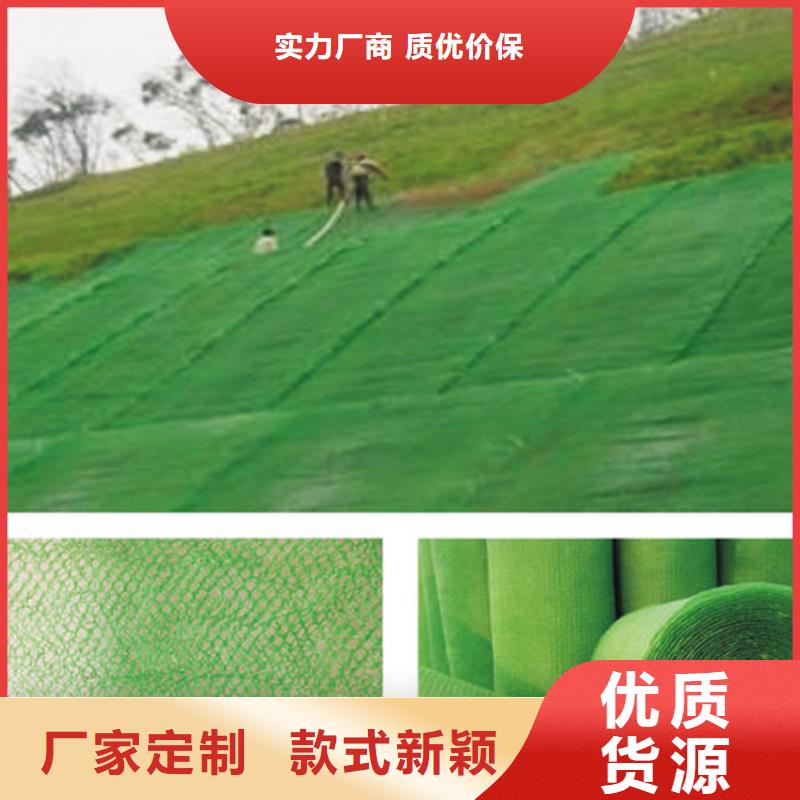 三維植被網(wǎng)土工網(wǎng)多家倉庫發(fā)貨