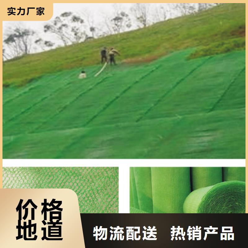 三維植被網土工格柵多種場景適用