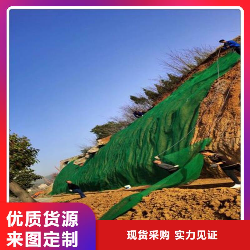 三維植被網土工格柵多種場景適用