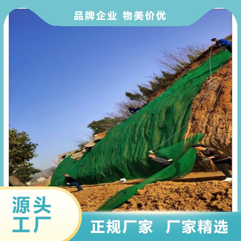 三維植被網(wǎng)土工網(wǎng)多家倉庫發(fā)貨