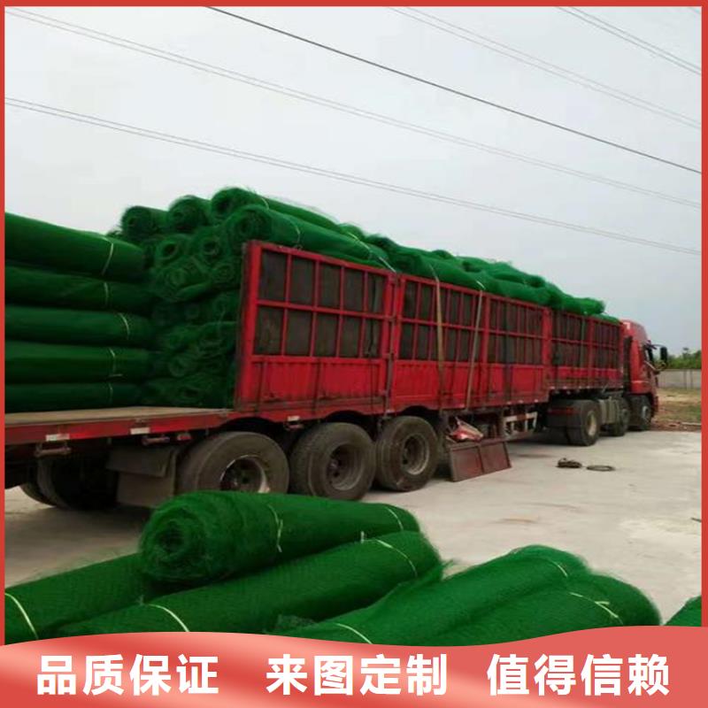 三維植被網(wǎng)-聚酯長(zhǎng)絲土工布種類豐富
