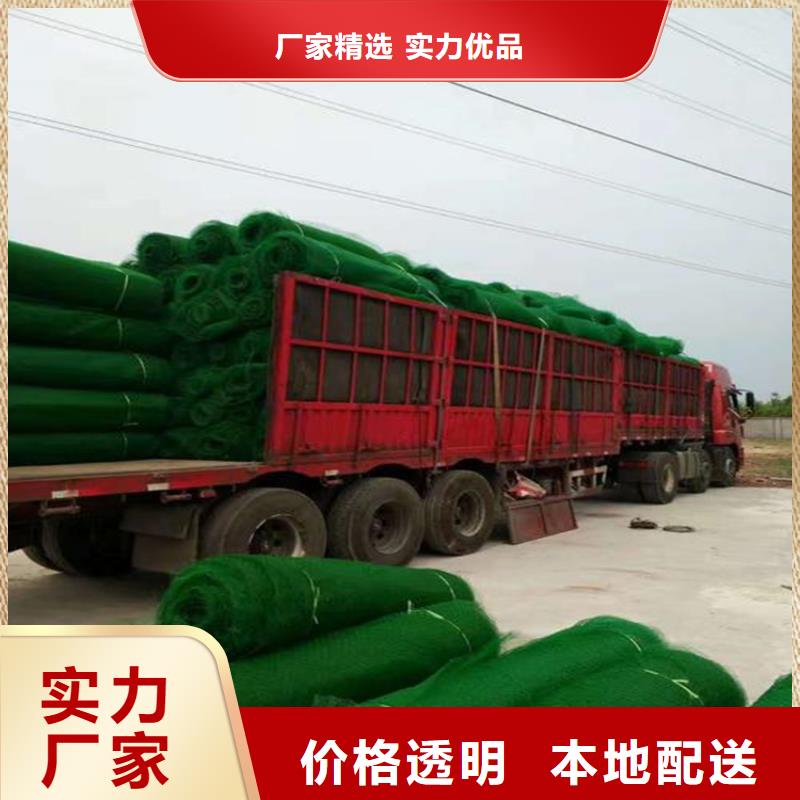 三維植被網(wǎng)土工網(wǎng)多家倉庫發(fā)貨