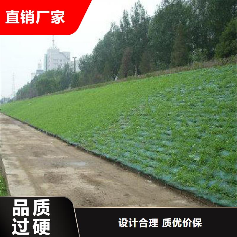 三維植被網土工格柵多種場景適用