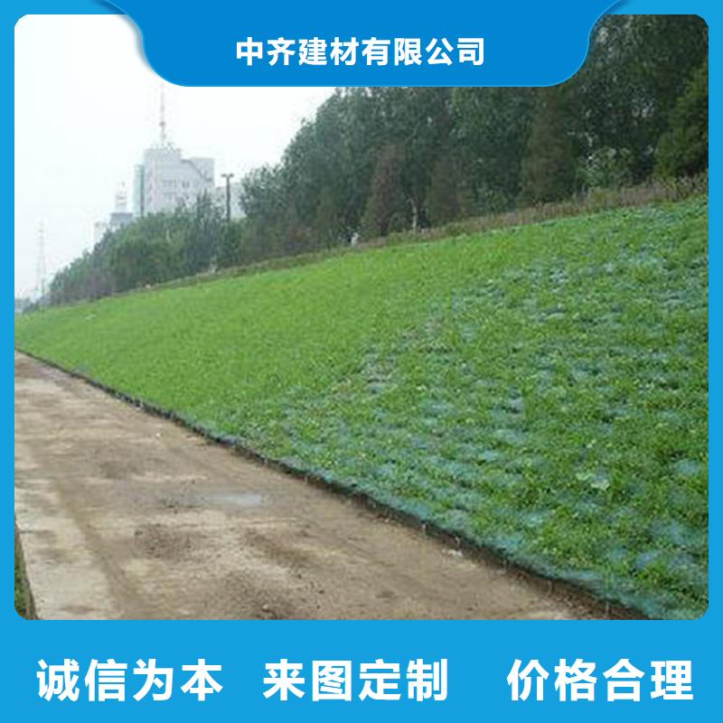 三維植被網(wǎng)土工網(wǎng)多家倉庫發(fā)貨