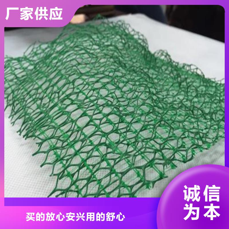 三維植被網土工格柵多種場景適用