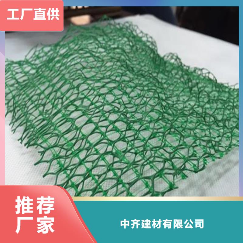 三維植被網(wǎng)土工網(wǎng)多家倉庫發(fā)貨