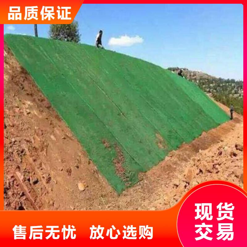 三維植被網土工格柵多種場景適用