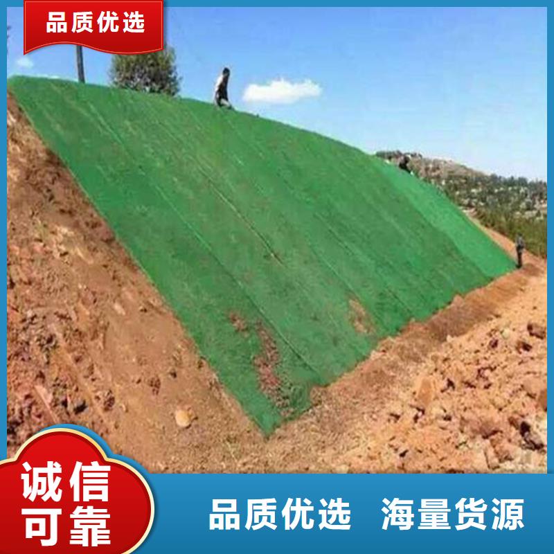 三維植被網(wǎng)土工網(wǎng)多家倉庫發(fā)貨