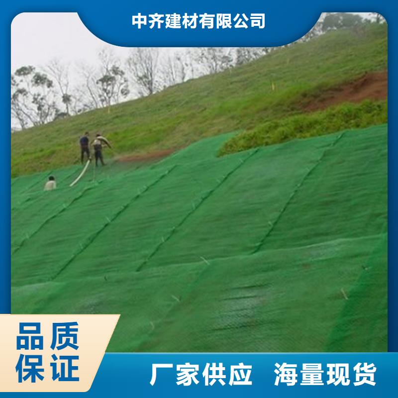 三維植被網(wǎng)-聚酯長(zhǎng)絲土工布種類豐富