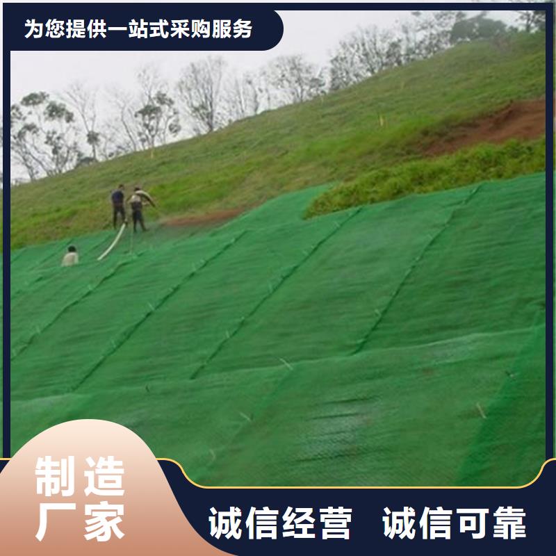 三維植被網土工格柵多種場景適用