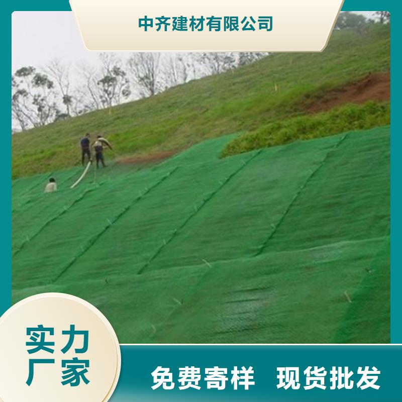 三维植被网,土工格栅质量牢靠
