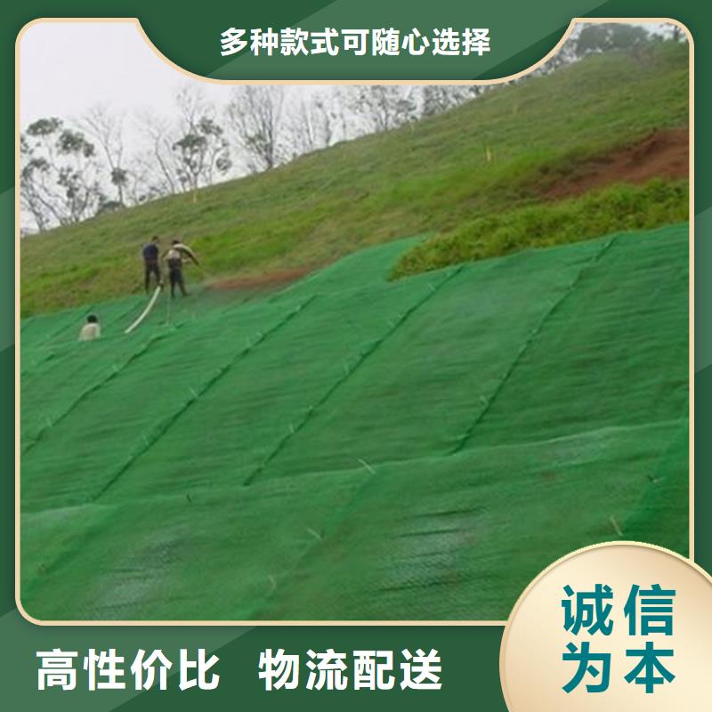 三維植被網(wǎng)土工網(wǎng)多家倉庫發(fā)貨