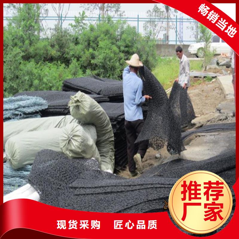 土工席垫土工格栅快捷物流