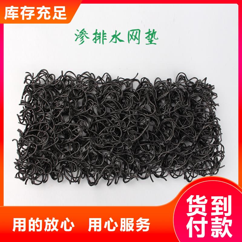 土工席墊,塑料土工格柵根據(jù)要求定制