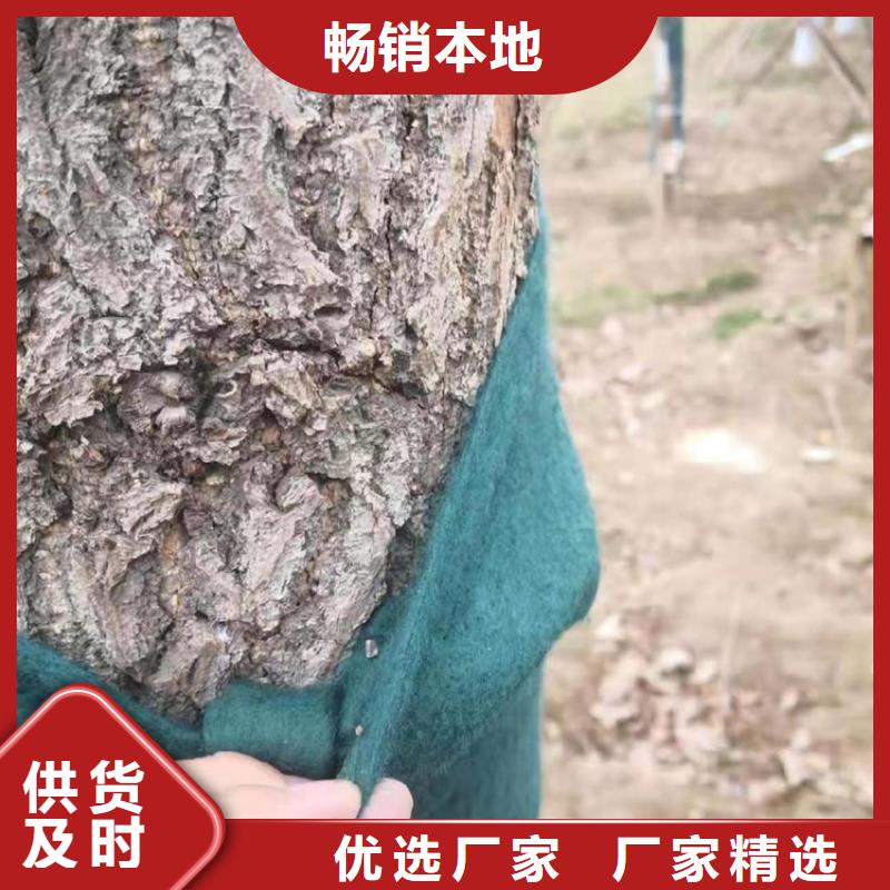 裹樹(shù)布復(fù)合土工膜產(chǎn)品細(xì)節(jié)參數(shù)