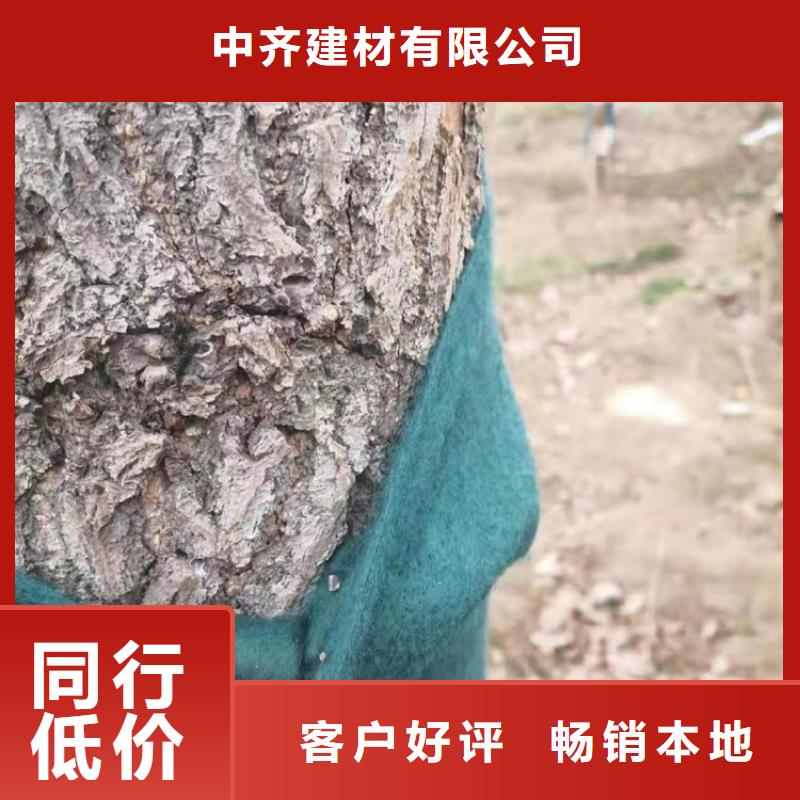 裹樹布_雙向土工格柵拒絕中間商