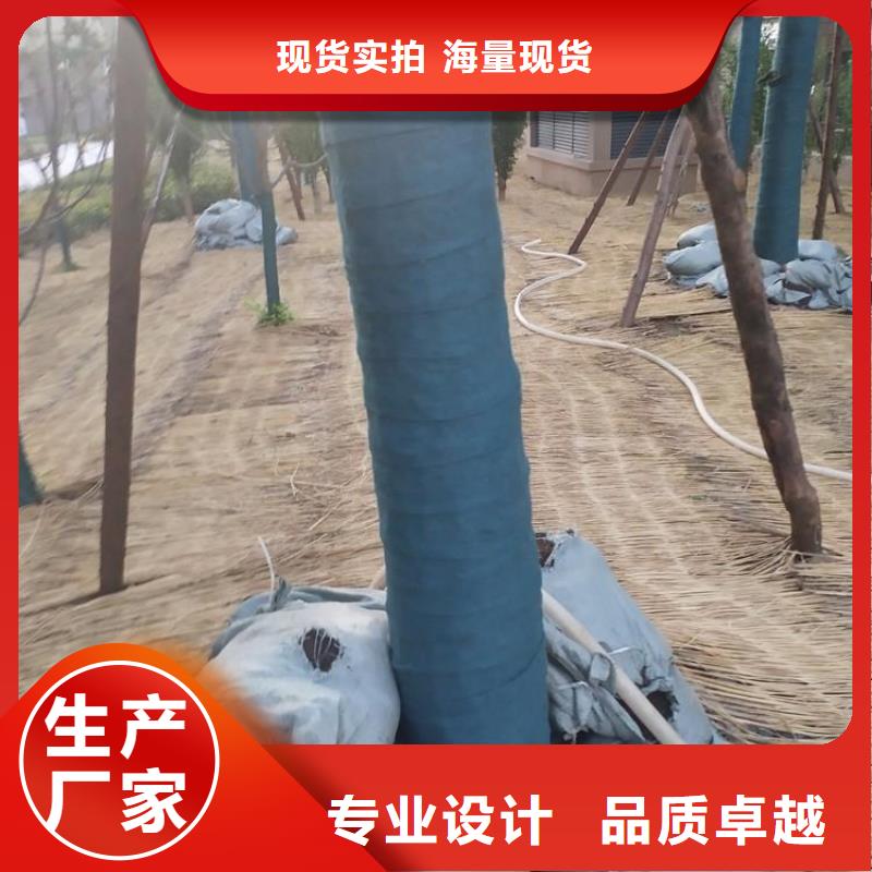 裹樹布-軟式透水管精選貨源